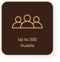 Aura Ballroom Highlight Feature 4